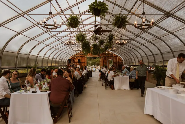 Live bee or die farm