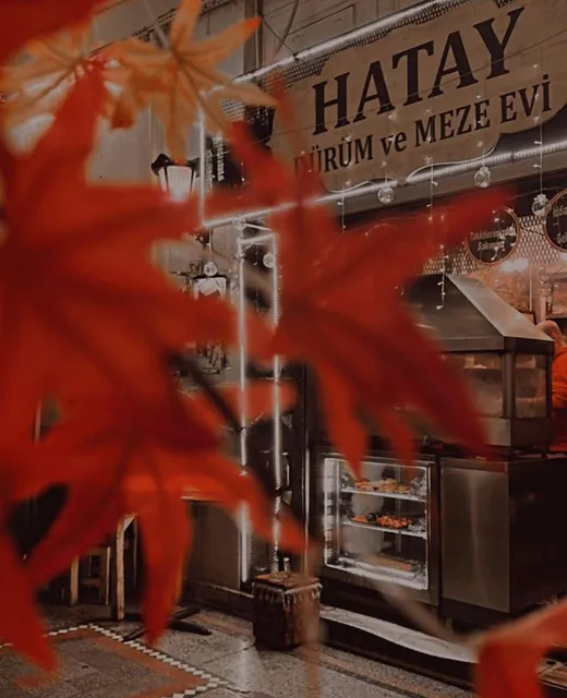 Hatay dürüm ve meze evi