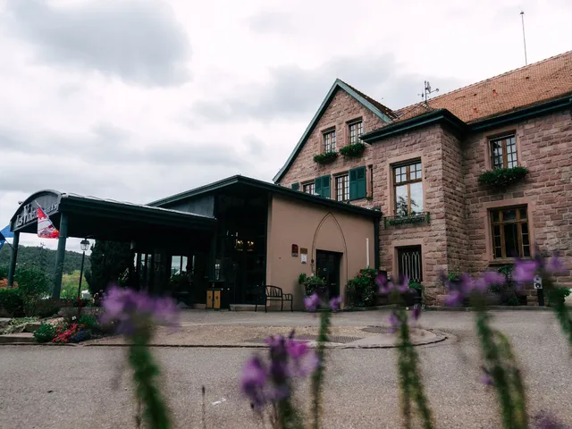 Hotel & Spa Les Violettes En Alsace