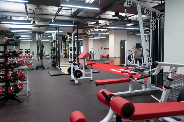 Ultimate Performance