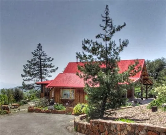 Artists Loft Bed and DIY Breakfast