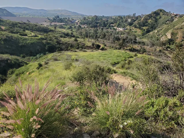 Santa Ana Mountains Trail Head