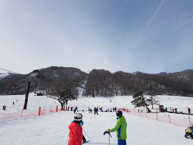 Evergreen International Ski School (Happo)