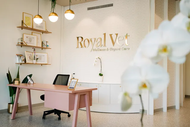 Royal Vet - Animal Hospital in Pinecrest