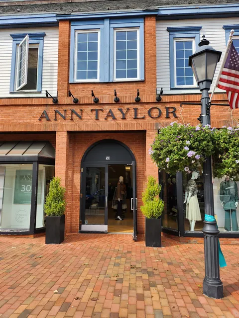Ann Taylor