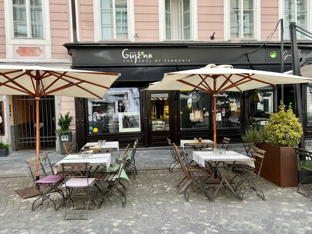 Gujžina - Slovenska kulinarika na vegetarijansko veganski način