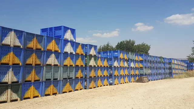 Bustan Bereshit Bagolan DIY Fruit Picking