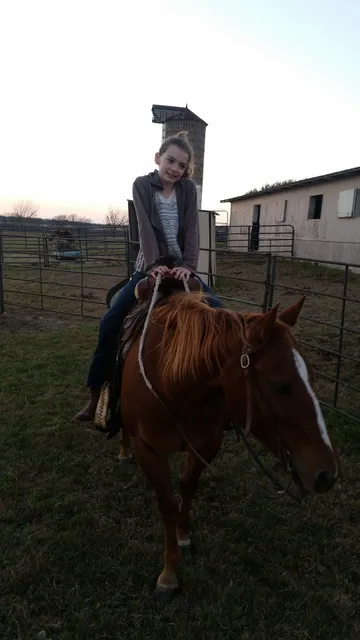 Raising Five Cattle Company