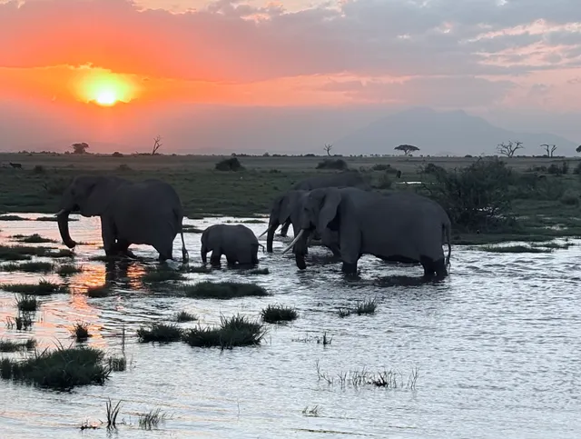 Piper & Heath Travel