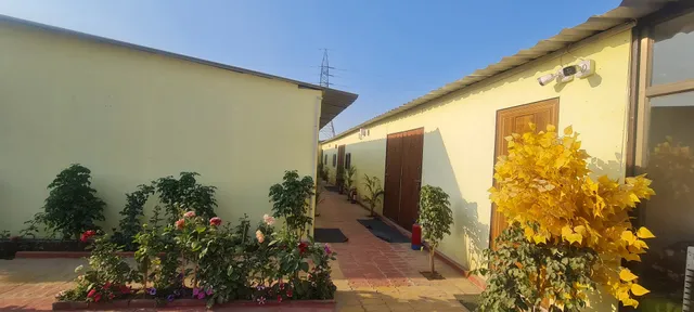 Maple Tree Resort & Restaurant