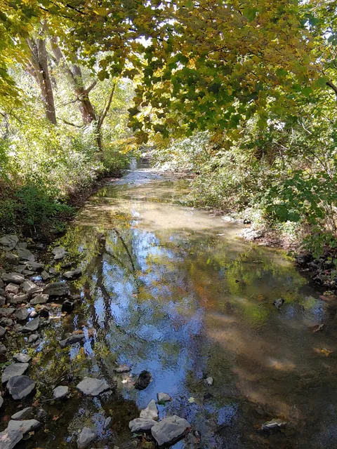 River View Community Park