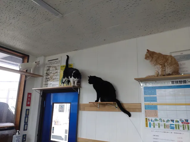 株式会社大進車輌