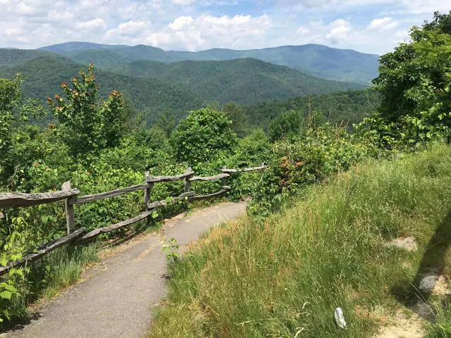 Cataloochee Valley Overlook