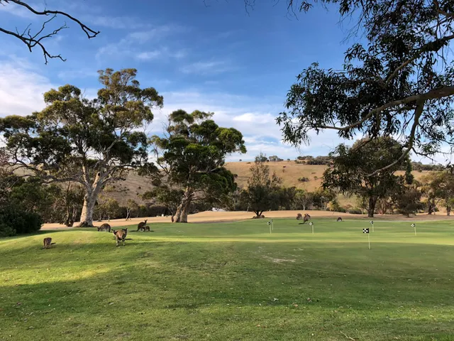 Wirrina Cove Golf Course And Mini Golf New Terry