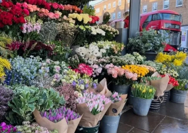The Flower Stand Chelsea