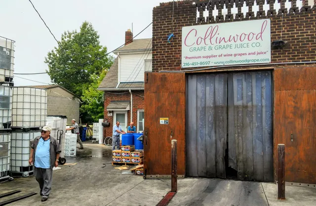 Collinwood Grape & Grape Juice