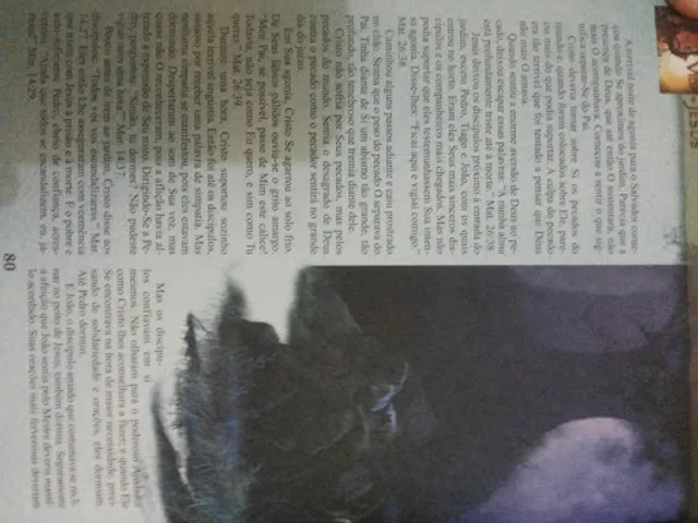 Panificadora São José