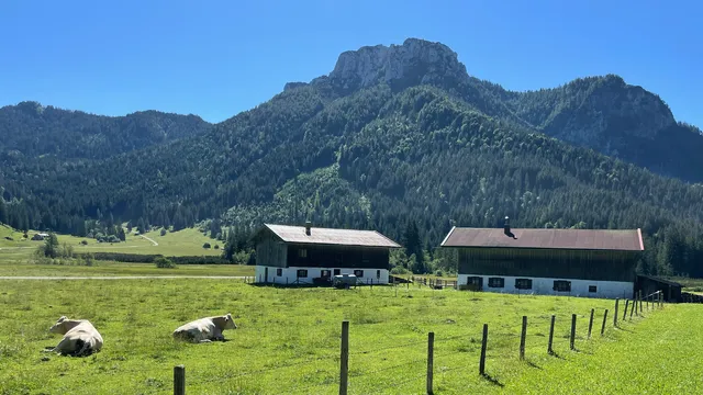 Ferienwohnungen Ortner-Hof