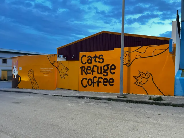 Kitty cat Refugio