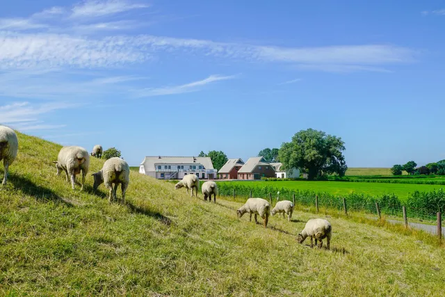 Gut Tossens GmbH & Co. KG