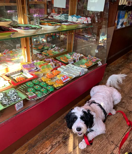 Fetch Doggy Boutique & Bakery