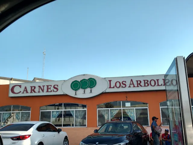 Los Arbolitos de Cajeme Solidaridad