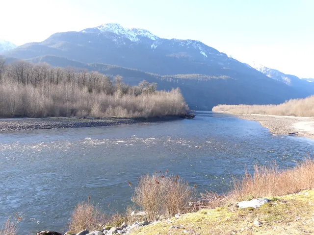 Mamquam River Trailhead