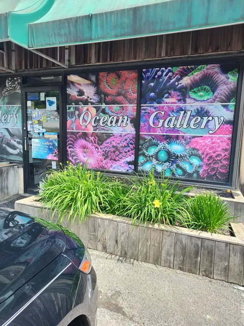 Ocean Gallery