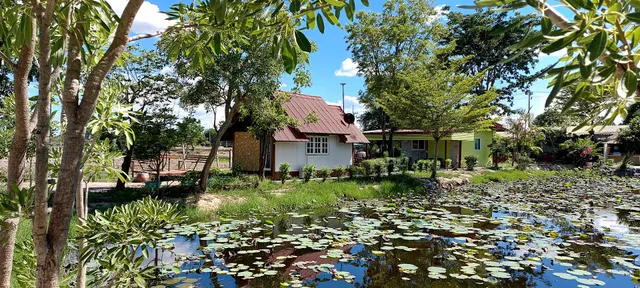 รีสอร์ทบ้านกลางเขา