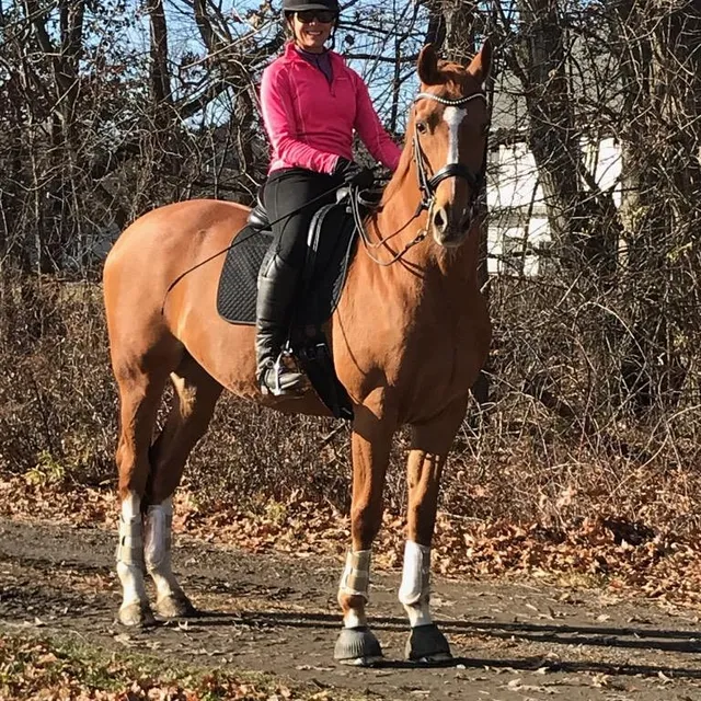 Heart's Journey Stables