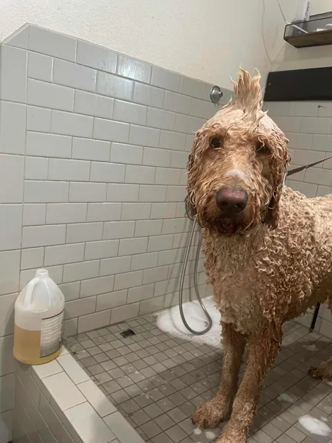 Southern Haven Vet Clinic