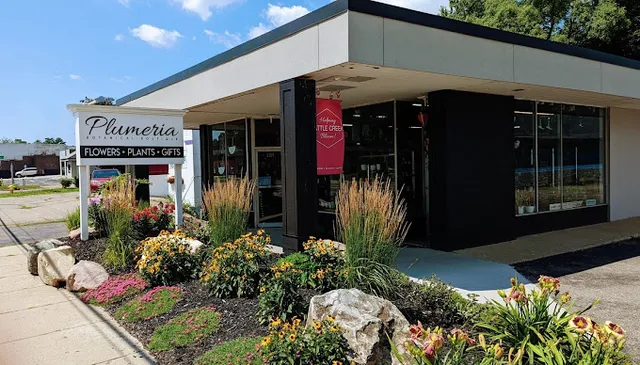 Plumeria Botanical Boutique