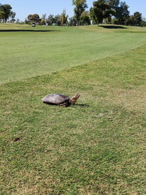 Cave Creek Golf Course