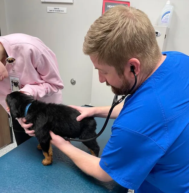 Neighborhood Veterinary Centers - Nederland