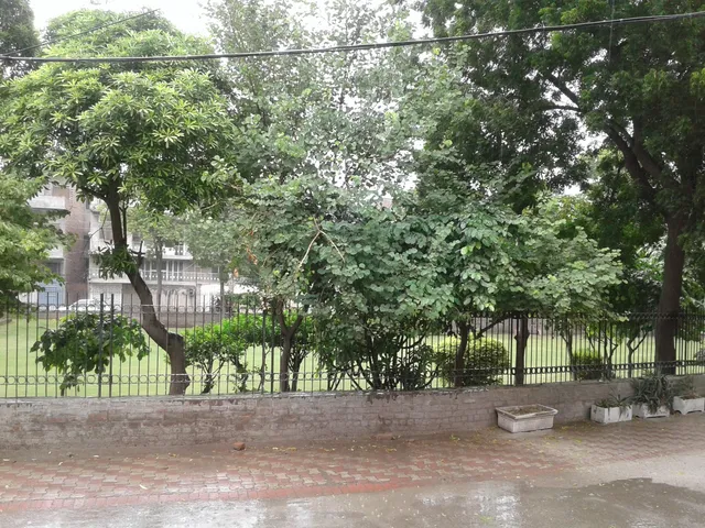 Surriya Jabeen Park.