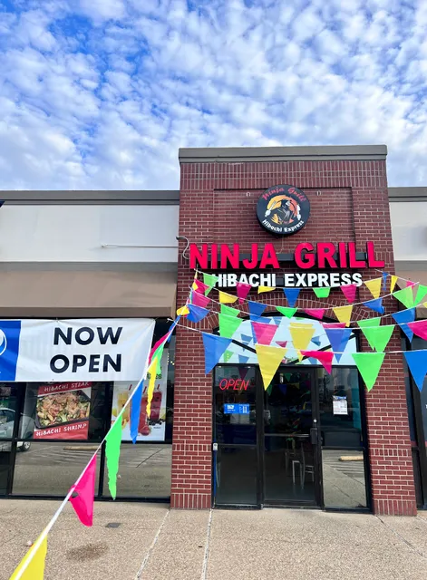 Ninja Grill Hibachi Express