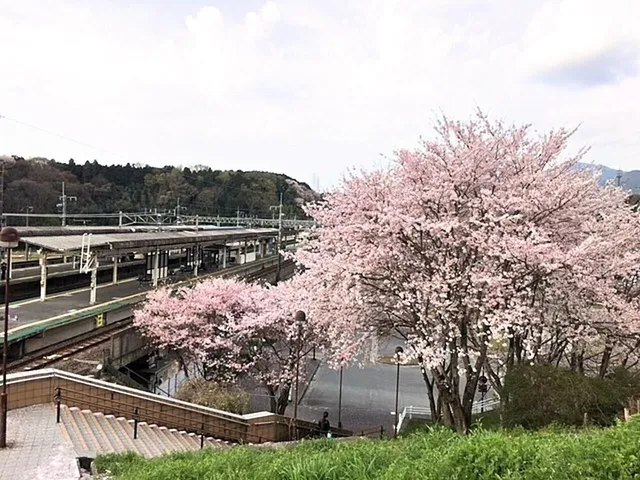 HOTEL Biwakoスリーゼ