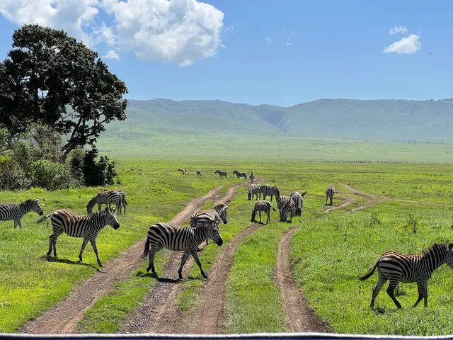 Easy Travel and Tours Ltd