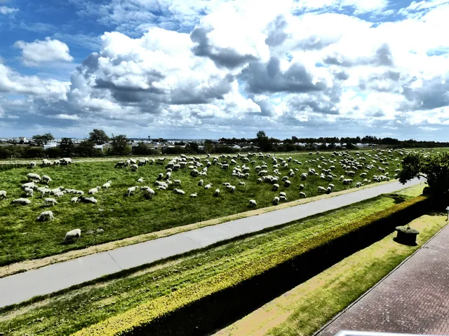 Upstalsboom Ferienwohnungen Hus Jadekieker