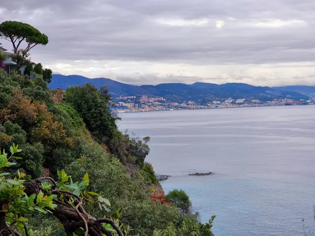 Condominio La Costa Della Pineta