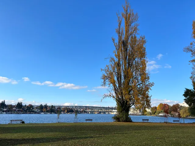 West Montlake Park