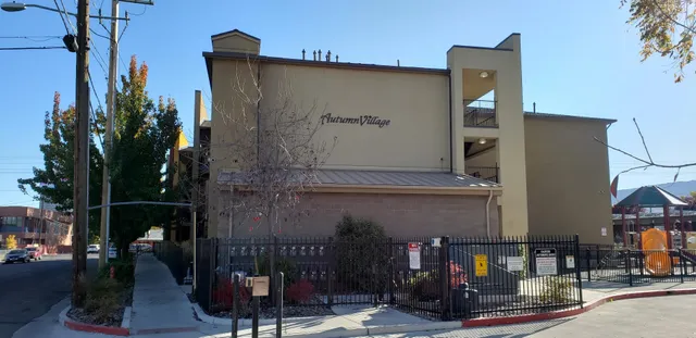 International Market