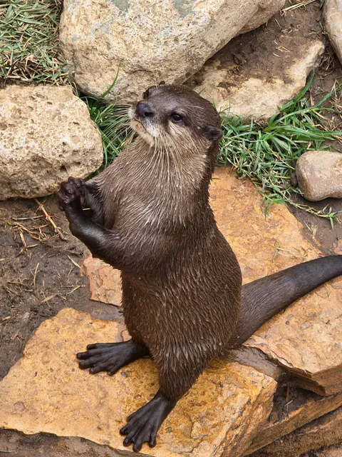 SeaWorld San Antonio