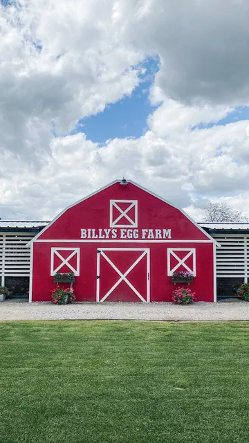 Billy's Egg Farm