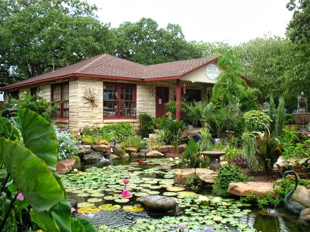 Hill Country Water Gardens & Nursery