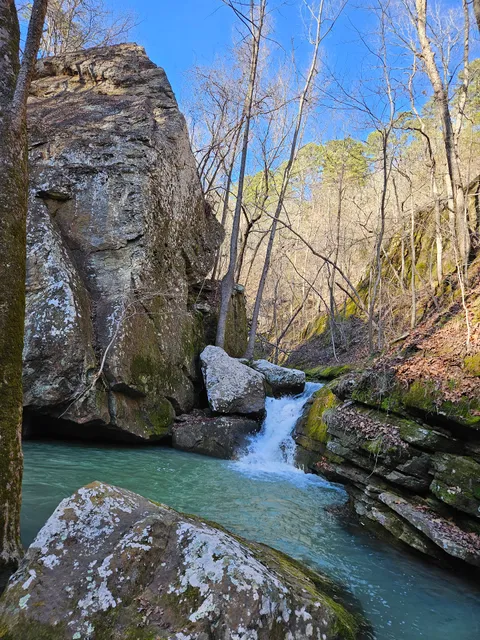 Ozark–St. Francis National Forest