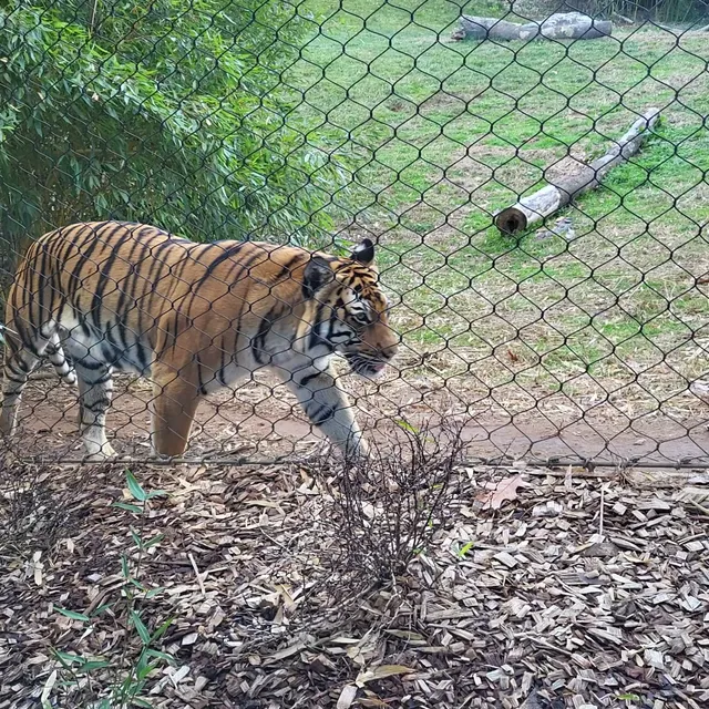 Zoo Knoxville