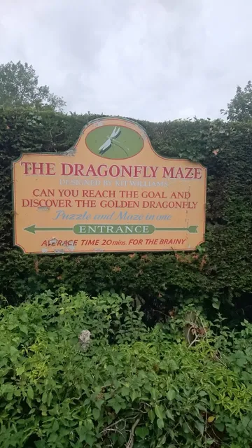 The Dragonfly Maze