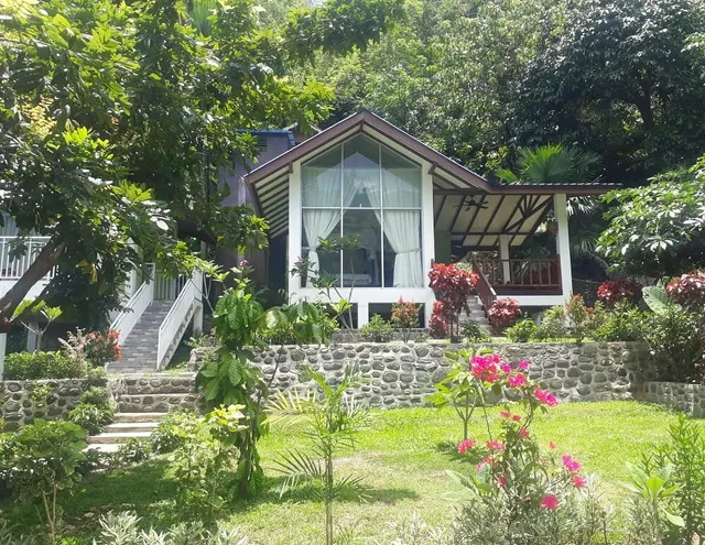 Jungle View Guest House