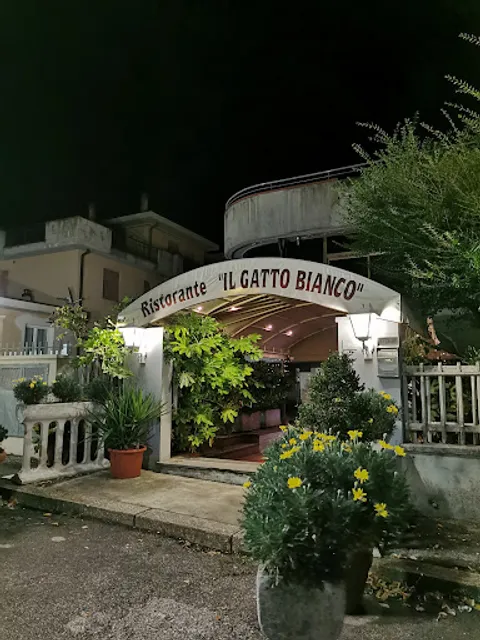 Ristorante Gatto Bianco